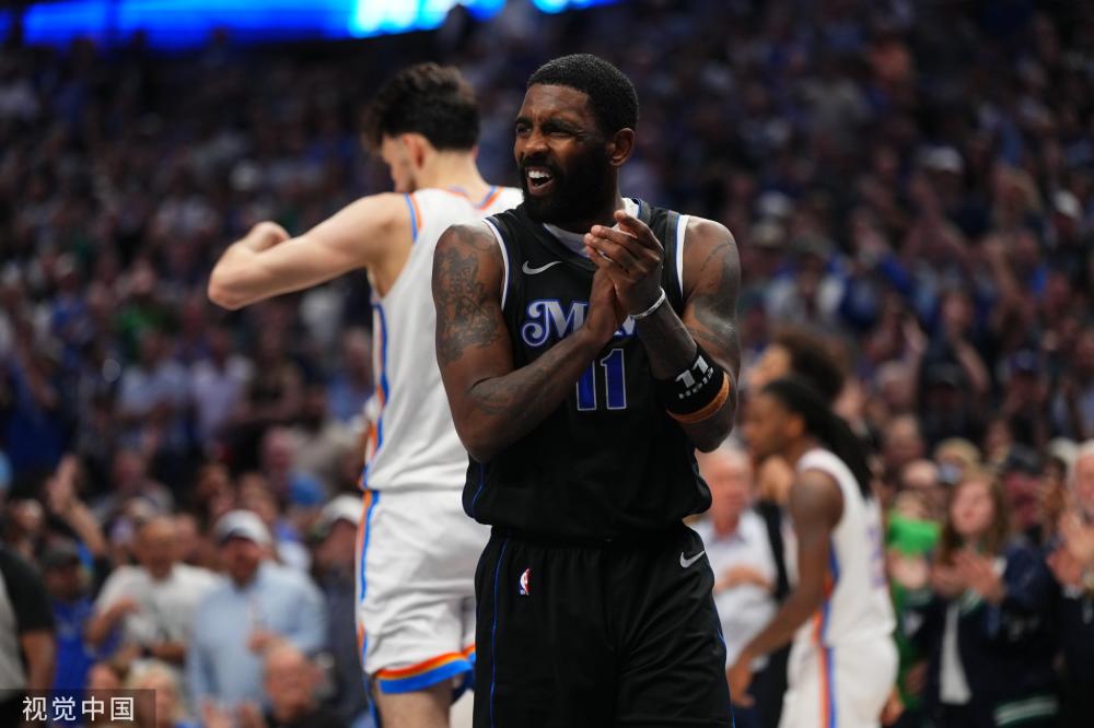 领域的专家 领域的专家